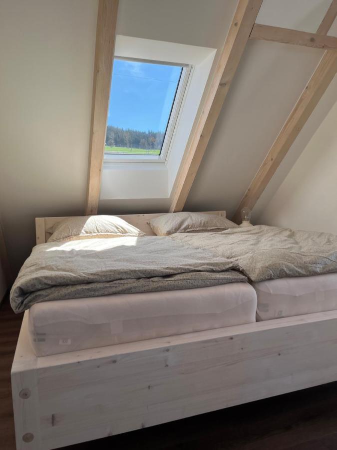 U Kralika, Apartman H, 3 Samostatne Loznice - Mezonet, Vlastni Parkovani, 50 Metru Od Vleku , Vysousece Bot V Lyzarne Dolní Morava المظهر الخارجي الصورة