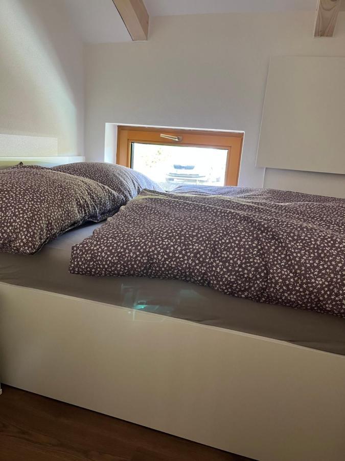 U Kralika, Apartman H, 3 Samostatne Loznice - Mezonet, Vlastni Parkovani, 50 Metru Od Vleku , Vysousece Bot V Lyzarne Dolní Morava المظهر الخارجي الصورة