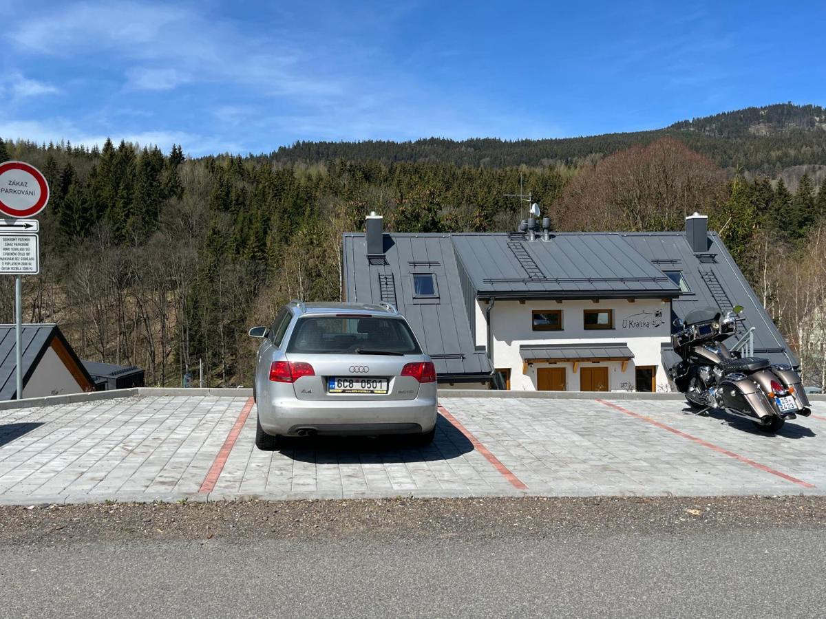 U Kralika, Apartman H, 3 Samostatne Loznice - Mezonet, Vlastni Parkovani, 50 Metru Od Vleku , Vysousece Bot V Lyzarne Dolní Morava المظهر الخارجي الصورة